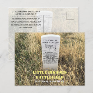 Grafmarker Cavaleriepaarden, Little Bighorn, MT Briefkaart