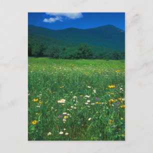 Grafton Notch weide Briefkaart