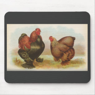 Graham - Partridge Cochin Chickens Muismat