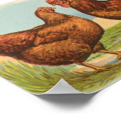 Graham - Rhode Island Red Chickens Poster (Hoek)