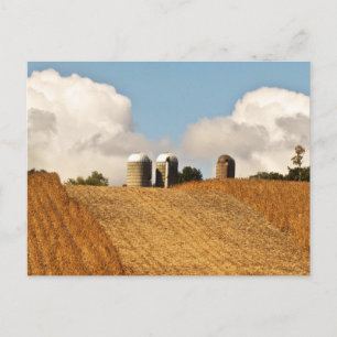 Grain Harvest Briefkaart