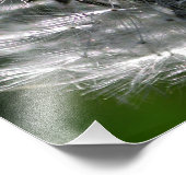 Graine de tête de Dandelion - Impression photo (Coin)