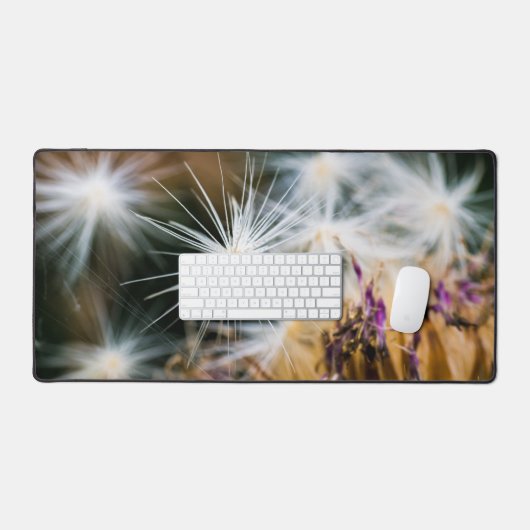 Graines (Clavier et souris)