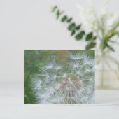 Graines de Dandelion Fermer do-it-yourself carte p (Debout devant)
