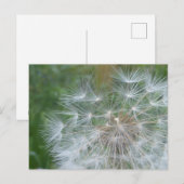 Graines de Dandelion Fermer do-it-yourself carte p (Devant / Derrière)