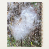 Graines de lait et planificateur en soie (Dos)