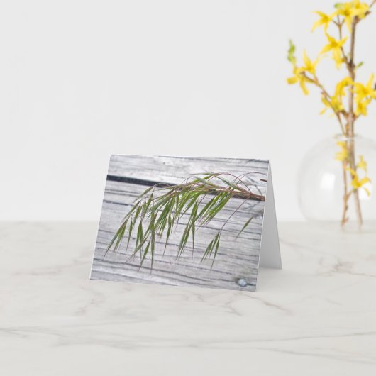 Graines d'herbe de plage à la carte de note IBSP (Fleur jaune)