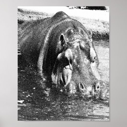 Grainy Black White Hippo Art, affiche (Devant)