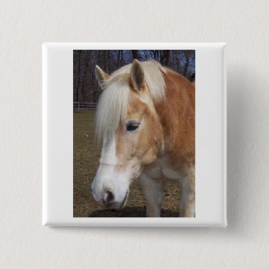 Gram Button (Voorkant)