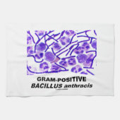 Gram-positieve Bacillus anthracis (Bacteria) Theedoek (Horizontaal)