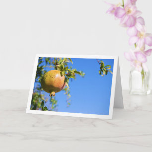 Granaatappel aan Boom, Blauwe Lucht Portret Kaart