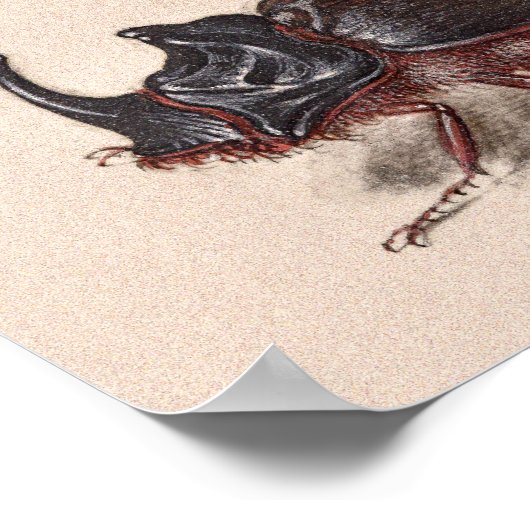 Granaatappel Bloem, Fruit en neushoorn Kever Poster (Hoek)