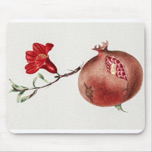 granaatappel botanische illustratie muismat