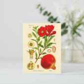 Granaatappel Briefkaart (Staand voorkant)