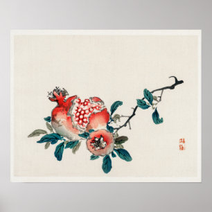 Granaatappel door Kono Bairei (1844-1895) Poster