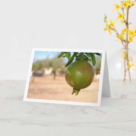 Granaatappel Hanging from Tree Kaart (Gele Bloem)