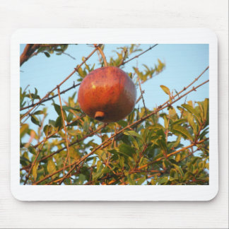 Granaatappel Muismat