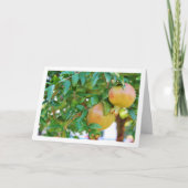 Granaatappelboom Portret Kaart (Voorkant)