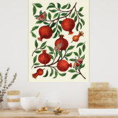 Granaatappels en Bella-motten op wit Poster (Keuken)