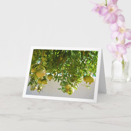 Granaatappels Hanging from Tree Kaart (Orchidee)