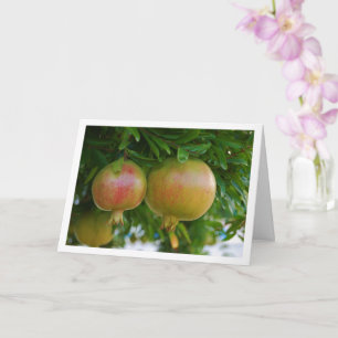 Granaatappels in Boom Portret Kaart