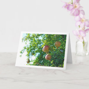 Granaatappels in Boom Portret Kaart