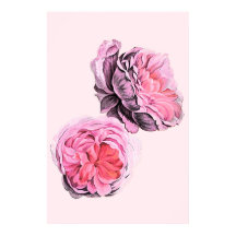 Grand Affiche d'Art Vintage Fleurs Roses
