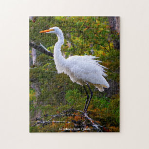 Grand Aigrette de Floride Puzzle