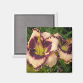 Grand aimant Daylily (Recto/Verso)