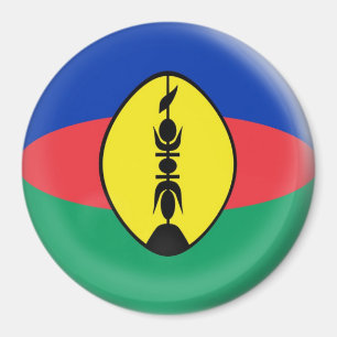Grand aimant de 3 pouces - drapeau de la