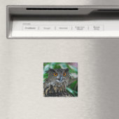 Grand aimant de hibou (In Situ (Lave-vaisselle))