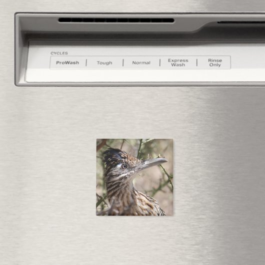 Grand aimant de roadrunner (In Situ (Lave-vaisselle))