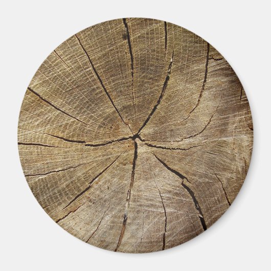Grand aimant rond de section de la croix d'arbre d (Devant)