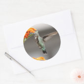 grand autocollant colibri (Enveloppe)