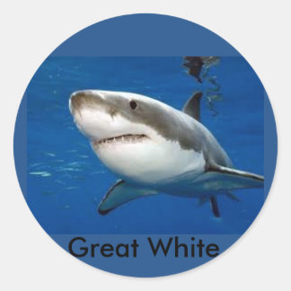 Grand autocollant de requin blanc