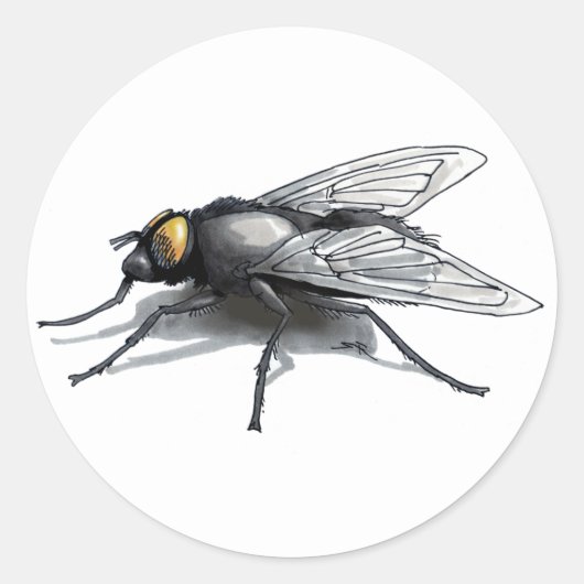 Grand autocollants ronds blancs Fly Buddy (Devant)