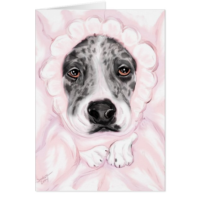 Grand Bébé Dane Mantled Merle Girl Annonces (Devant)