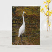 Grand blanc Egret Fall Leaves Carte de voeux (Fleur jaune)