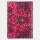 Grand Bougainvillier Jeu de couverture (devant Vertical)
