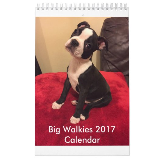 Grand calendrier 2017 de Walkies (Protection)