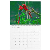 Grand calendrier de beaux oiseaux de taille (Mar 2027)