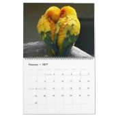 Grand calendrier de beaux oiseaux de taille (Feb 2027)