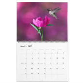 Grand calendrier de beaux oiseaux de taille (Mar 2027)