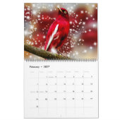 Grand calendrier de beaux oiseaux de taille (Feb 2027)