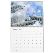 Grand calendrier de beaux oiseaux de taille (Jan 2027)