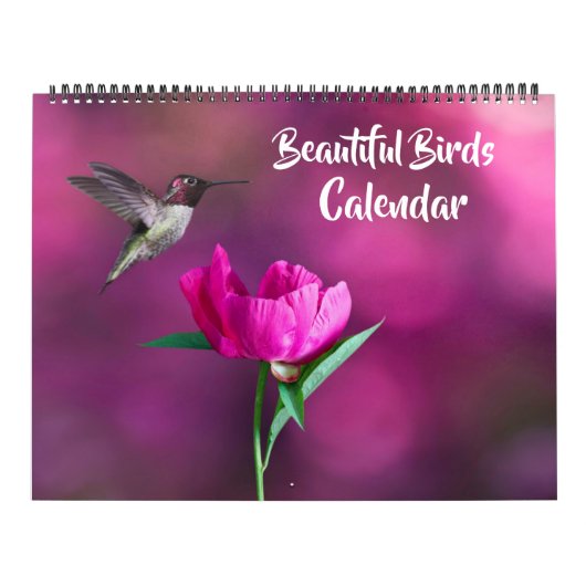 Grand calendrier de beaux oiseaux de taille (Protection)