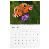 Grand Calendrier De Beaux Papillons De Taille (Mar 2027)