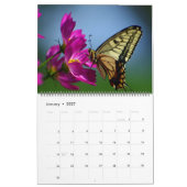 Grand Calendrier De Beaux Papillons De Taille (Jan 2027)