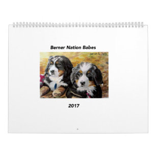 Grand calendrier des bébés 2017 de nation de