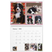 Grand calendrier des bébés 2017 de nation de (Feb 2026)